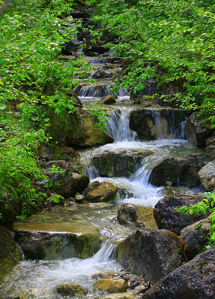 Wasserlauf