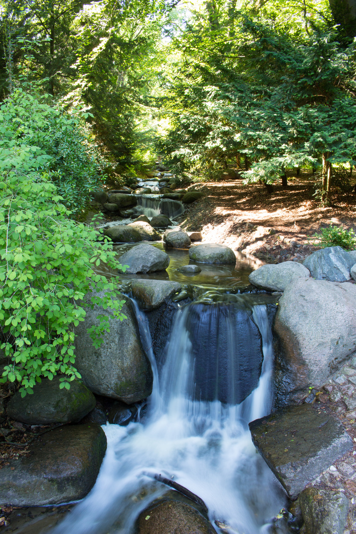 Wasserlauf Foto & Bild natur, landschaft, bach Bilder auf