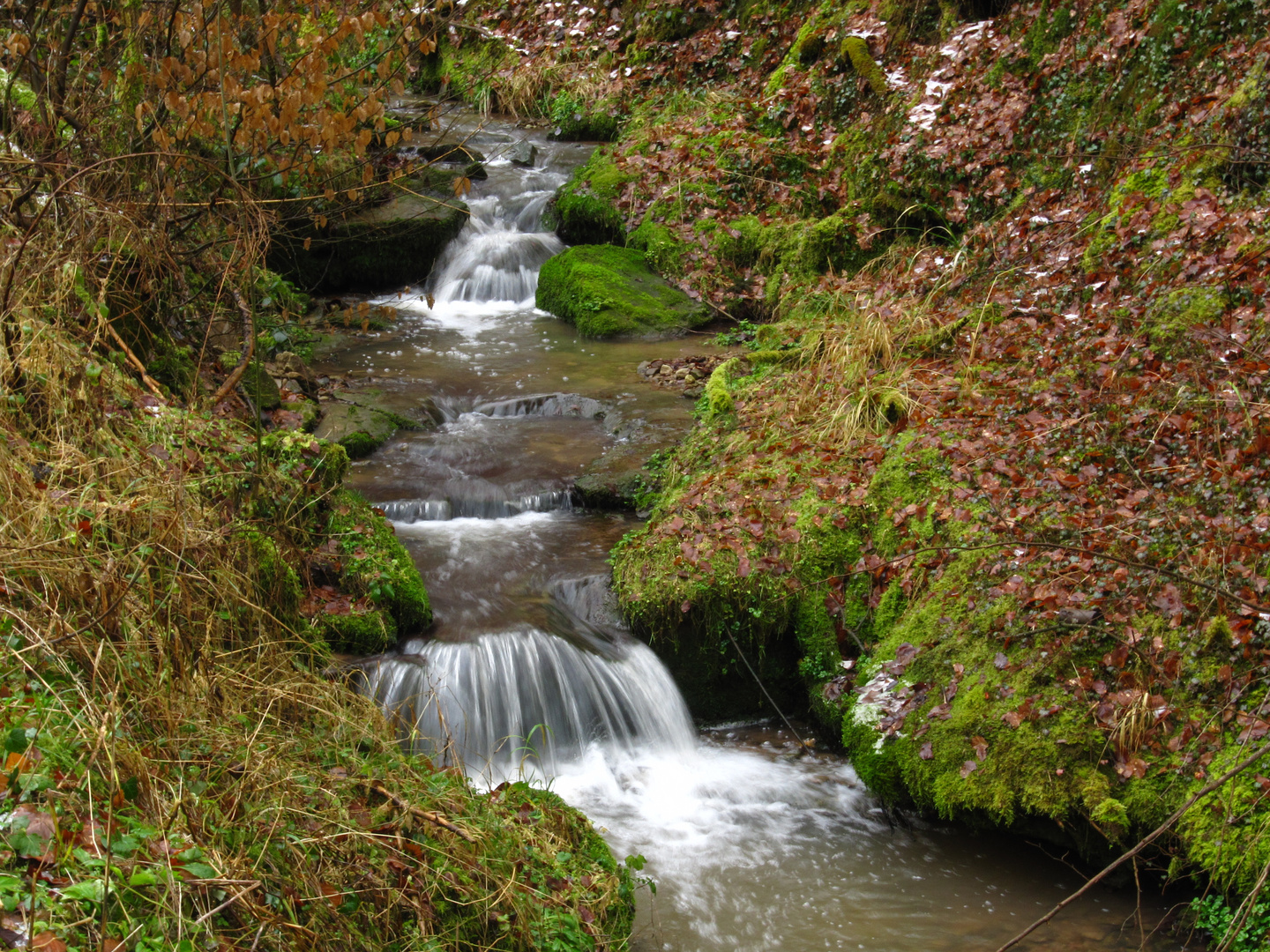 Wasserlauf