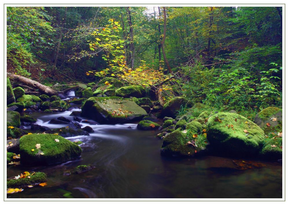 Wasserlauf