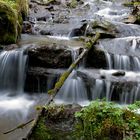 Wasserlauf