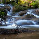 Wasserlauf