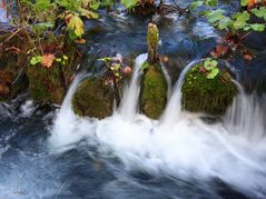 Wasserlauf