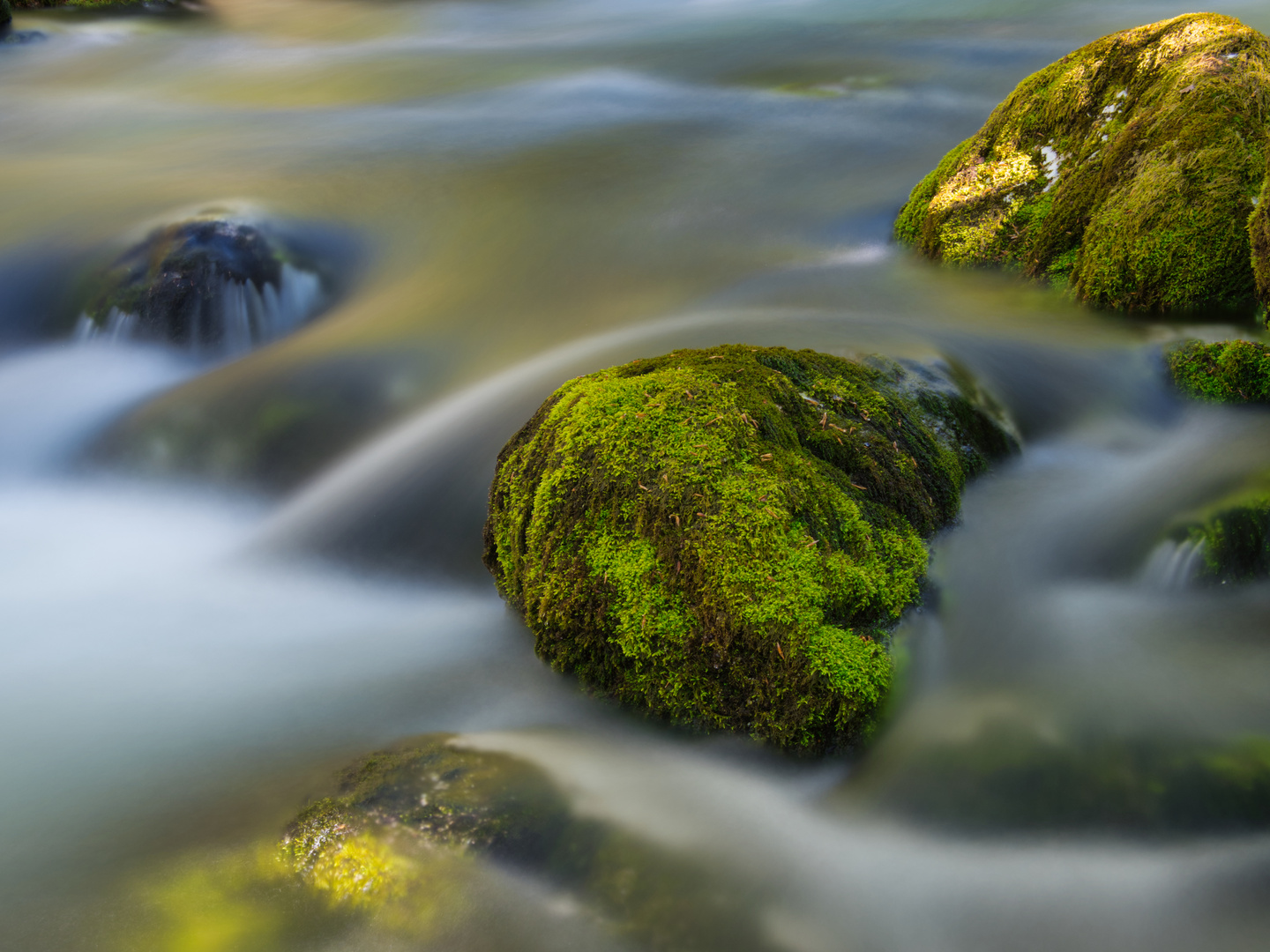 Wasserlauf