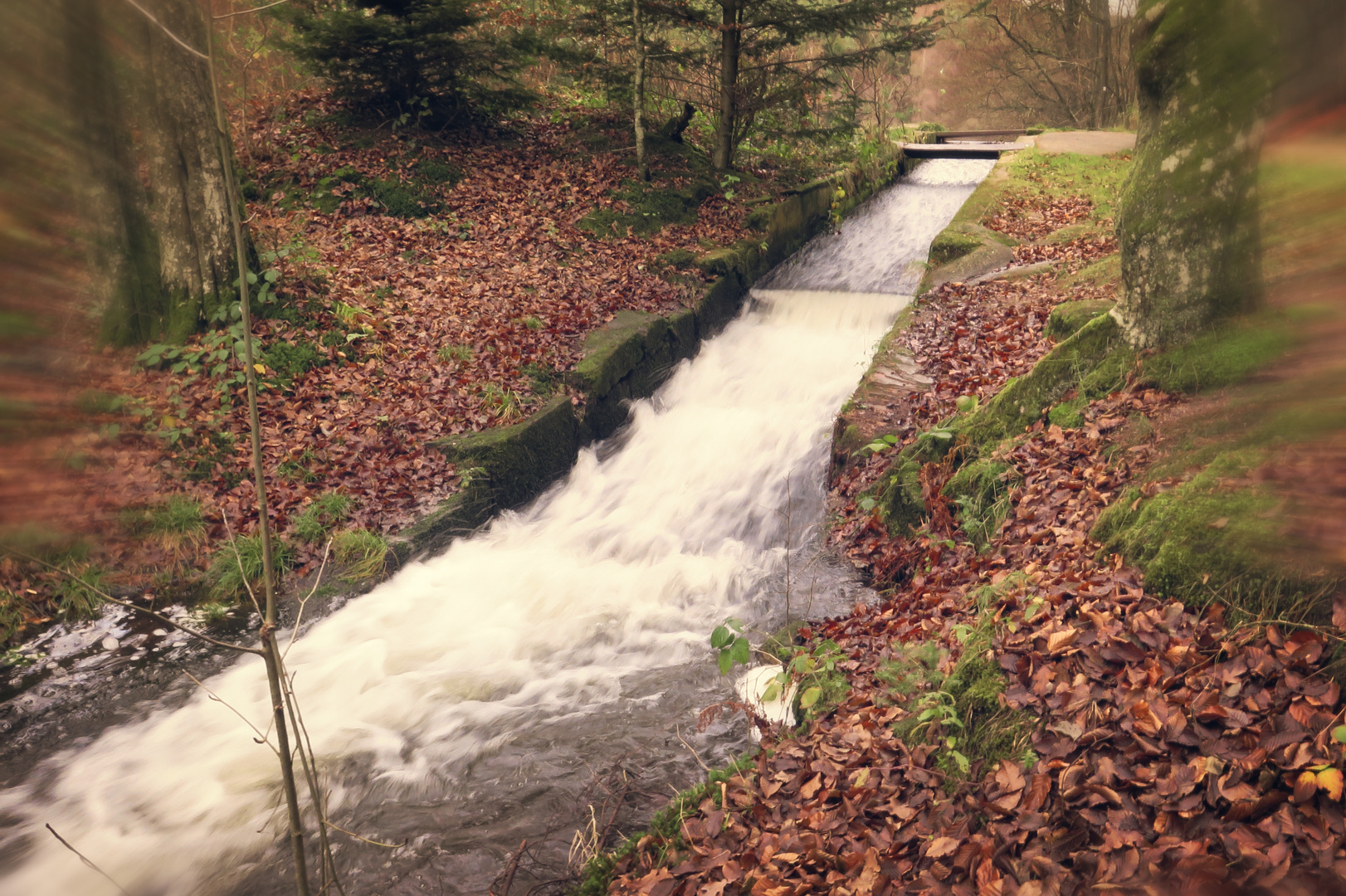 Wasserlauf am Seehof 2.12.15- Kreis Südwestpfalz -2-