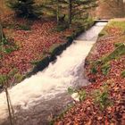 Wasserlauf am Seehof 2.12.15- Kreis Südwestpfalz -2-