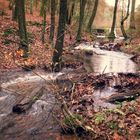 Wasserlauf am Seehof 2.12.15- Kreis Südwestpfalz