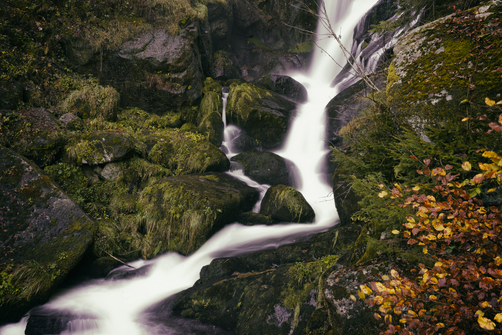 Wasserlauf am Triberger Wasserfall