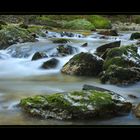 Wasserlauf am Wängibach