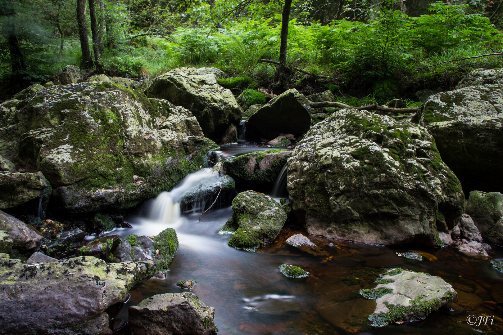 Wasserlauf Ardennen