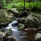 Wasserlauf Ardennen