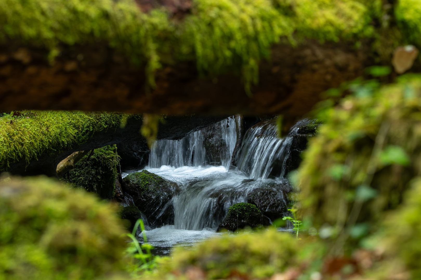 Wasserlauf
