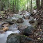 Wasserlauf der Ecker