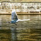 Wasserlauf im Fluge