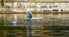 Wasserlauf im Fluge