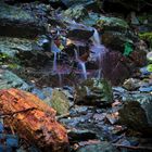 Wasserlauf im Harz