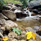 Wasserlauf im Herbst 