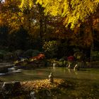 Wasserlauf im Japangarten