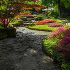 Wasserlauf im Japangarten