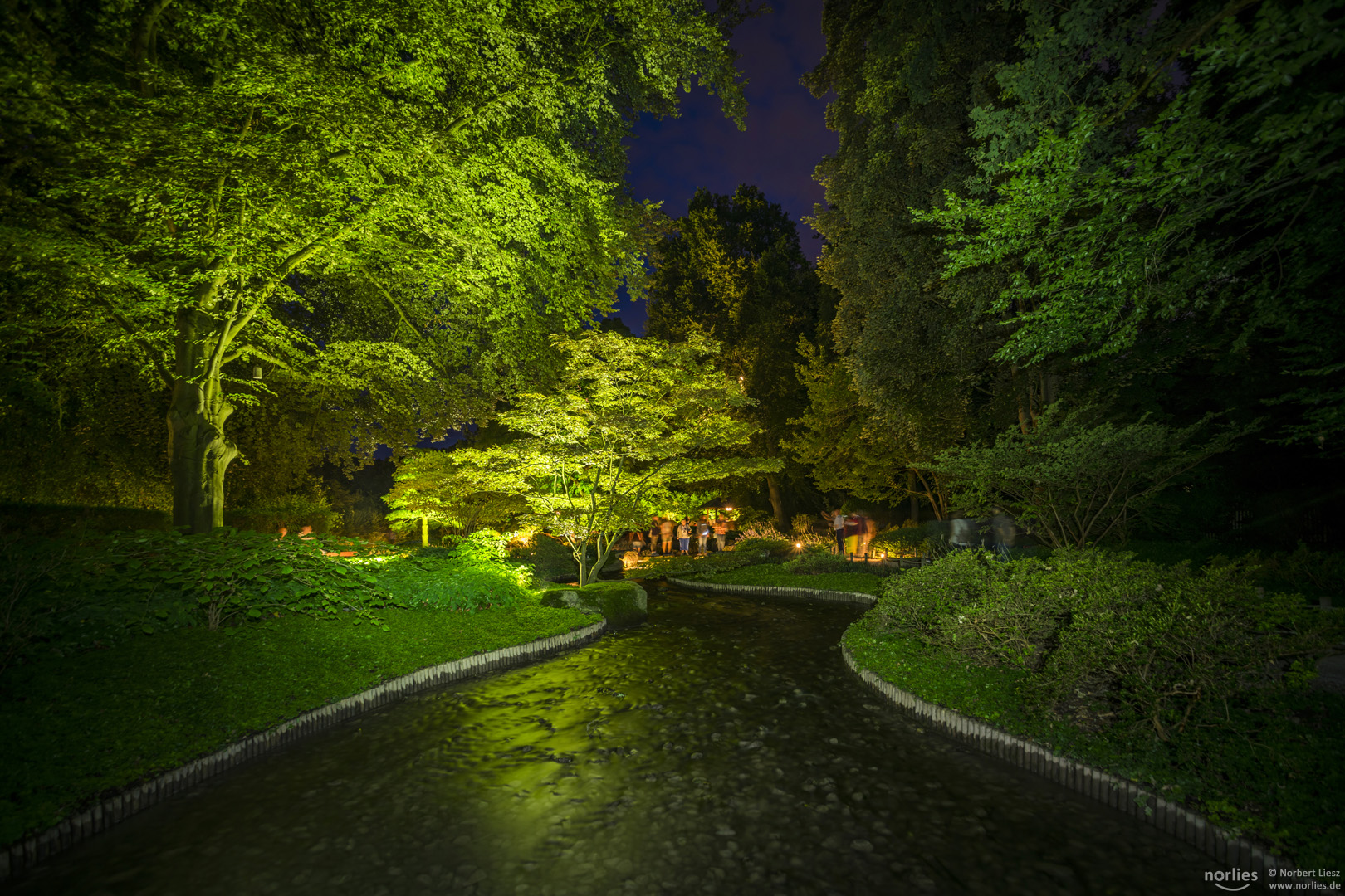 Wasserlauf im Japangarten