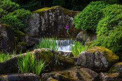 Wasserlauf im Japangarten