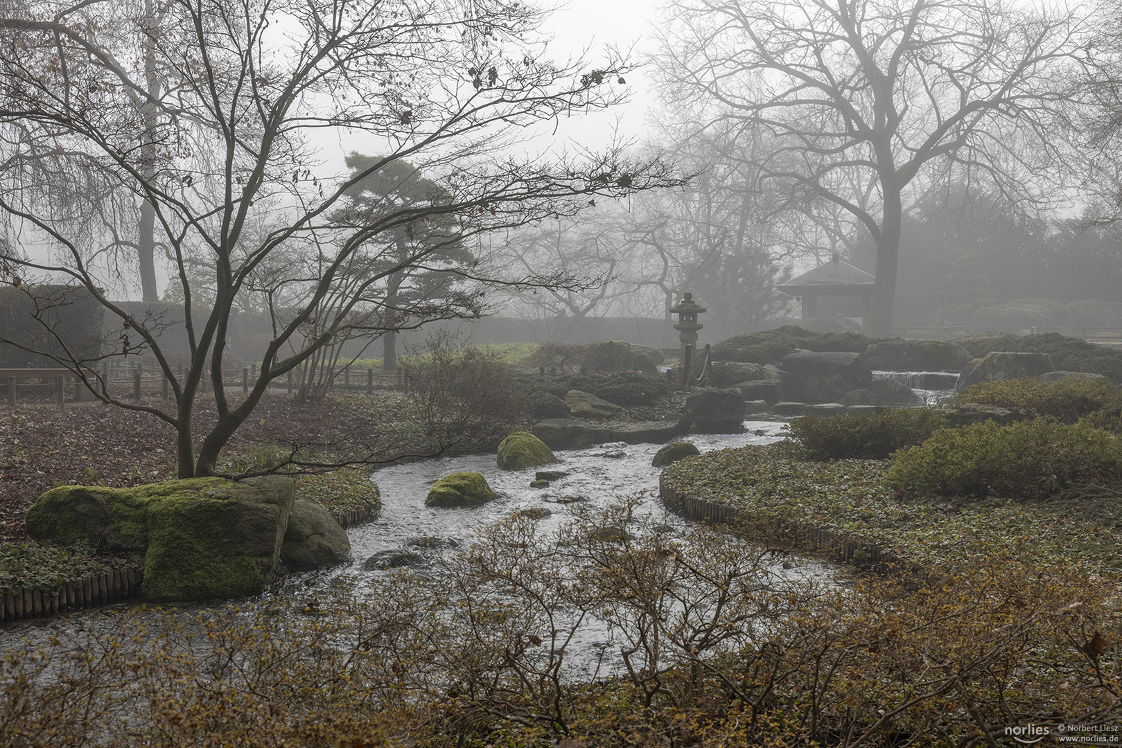 Wasserlauf im Japangarten