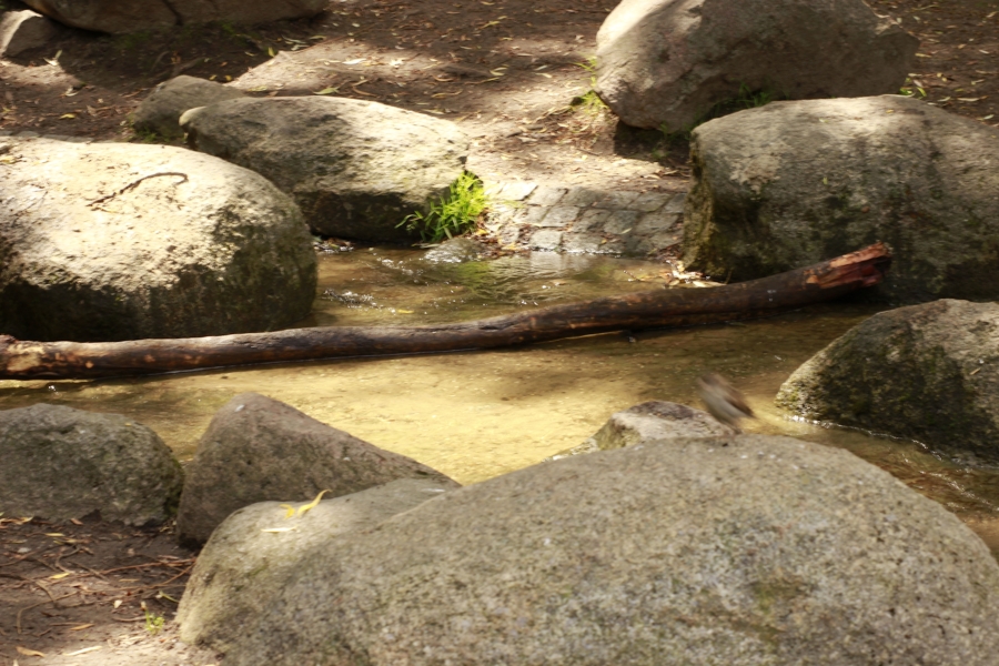 Wasserlauf im Park