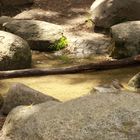 Wasserlauf im Park