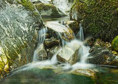 Wasserlauf im Schwarzwald