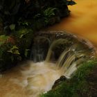 Wasserlauf im "Terra Nostra Park"