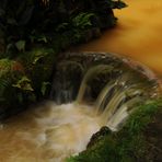 Wasserlauf im "Terra Nostra Park"