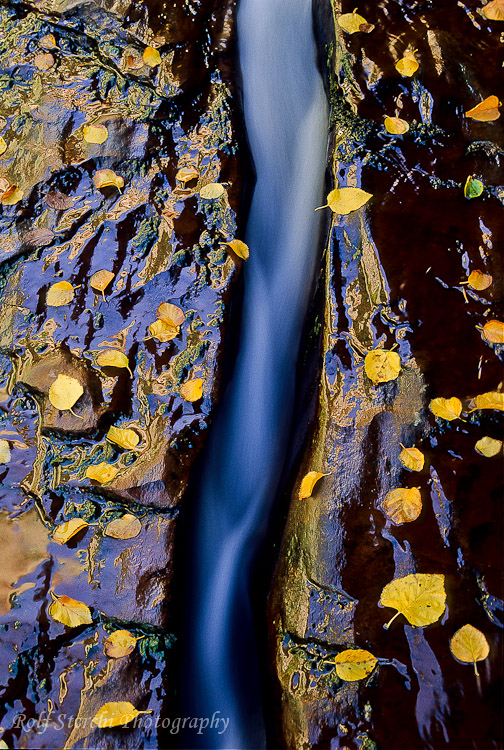 Wasserlauf im Zion N.P