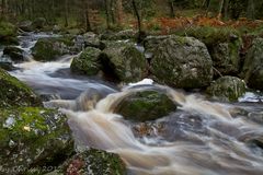 Wasserlauf in den Ardennen