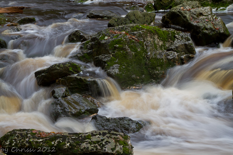 Wasserlauf in den Ardennen