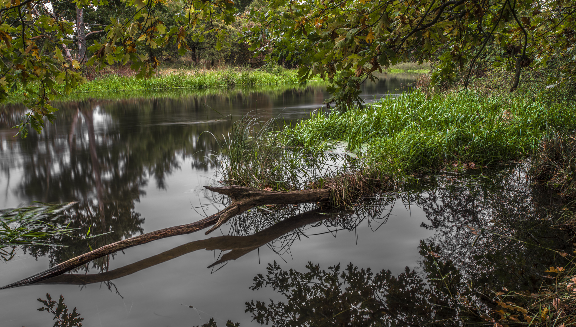 Wasserlauf in den Spreeauen