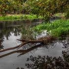 Wasserlauf in den Spreeauen