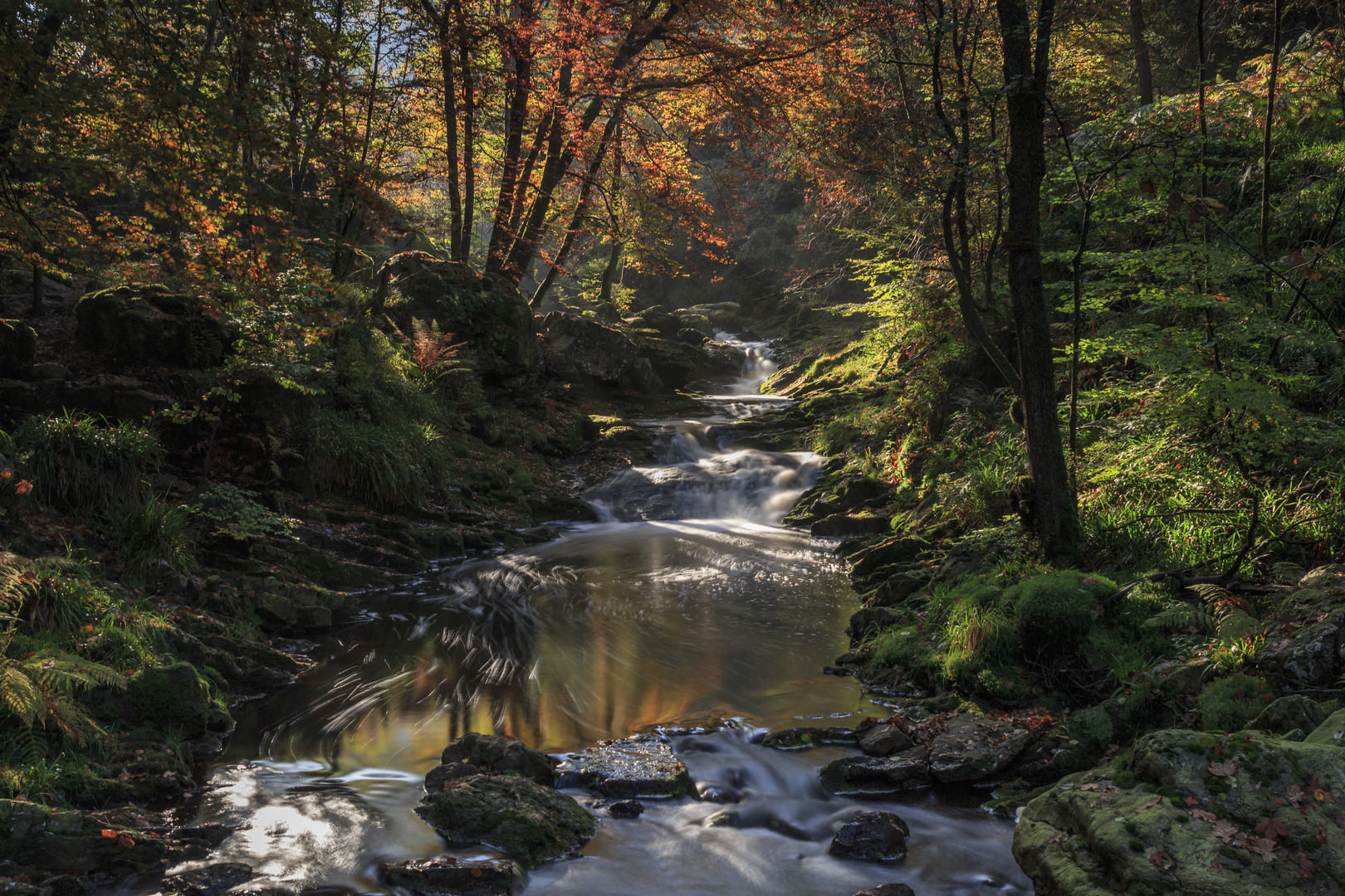 Wasserlauf in der Eifel