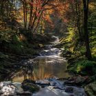 Wasserlauf in der Eifel