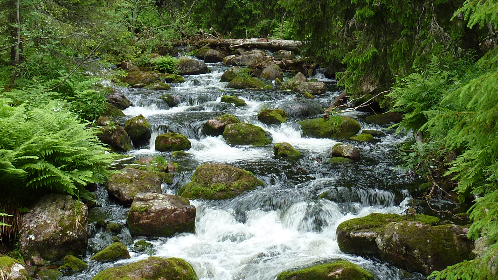 Wasserlauf in Schweden Dalarna