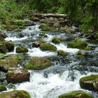 Wasserlauf in Schweden Dalarna