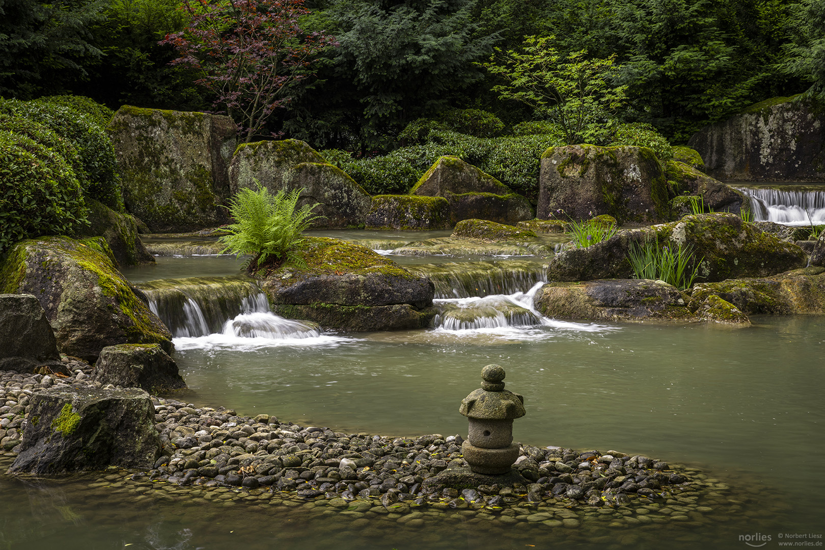 Wasserlauf Japangarten