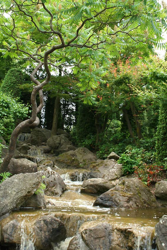 Wasserlauf, Japanischer Garten, Bonn Foto & Bild ...