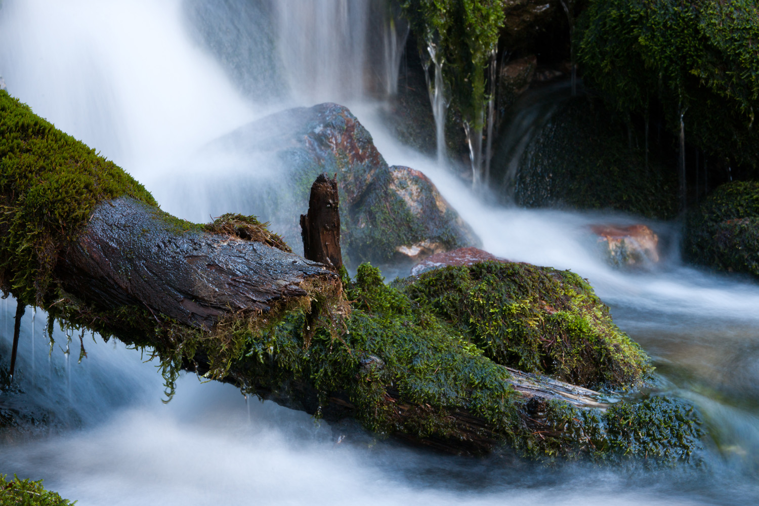 Wasserlauf, Karwendel, Tirol