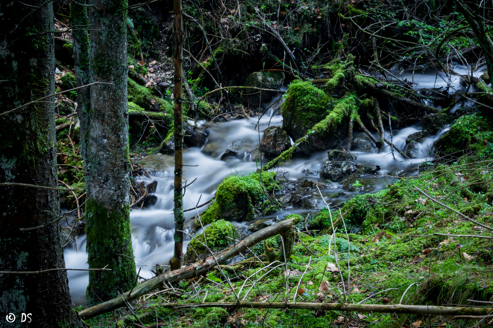 Wasserlauf LZ