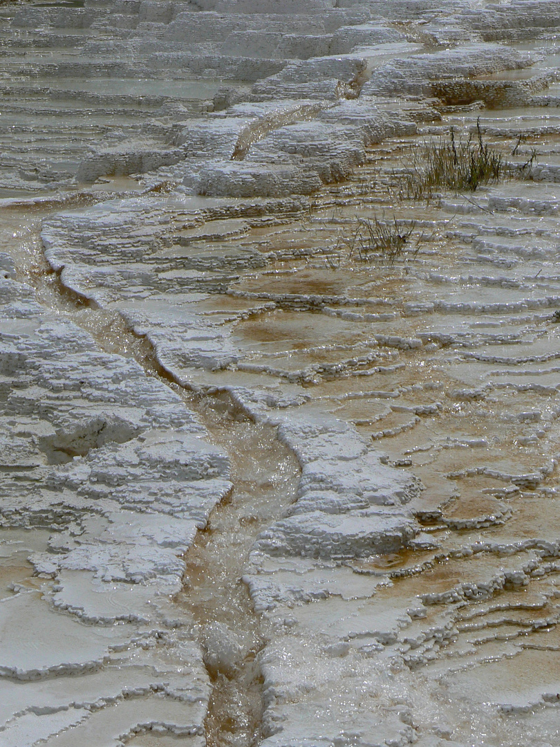 Wasserlauf Yellowstone