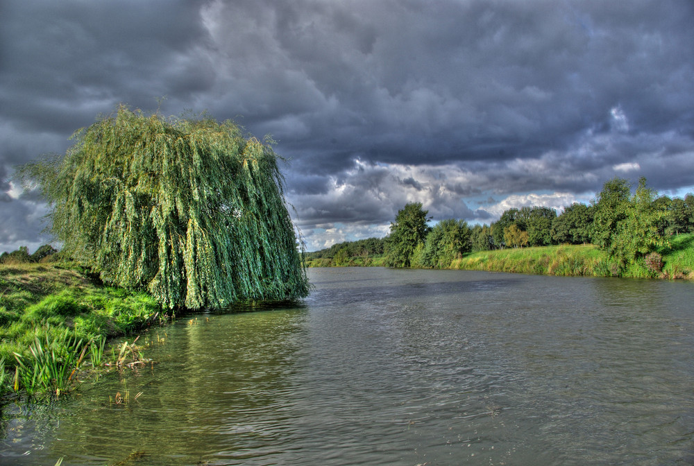 Wasserlauf#3