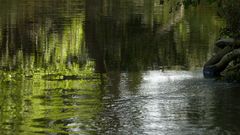 Wasserleuchten im Herbst II