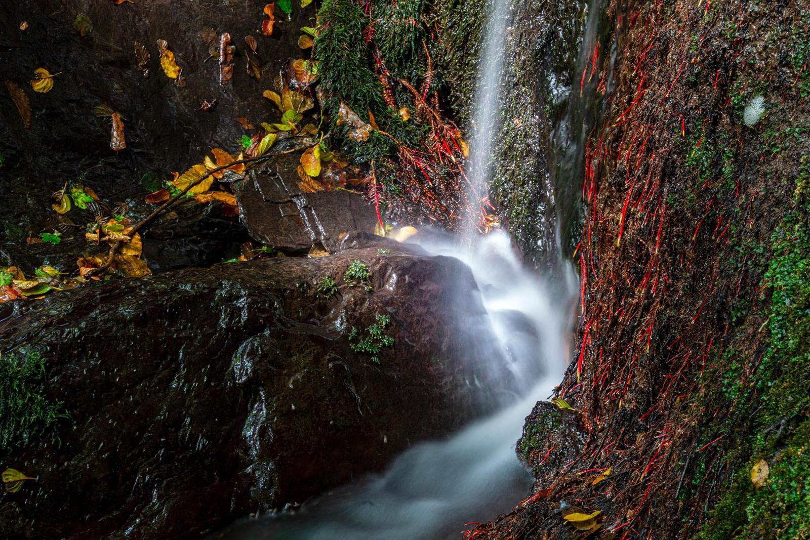 Wasserleuchten in der Pulsbachklamm