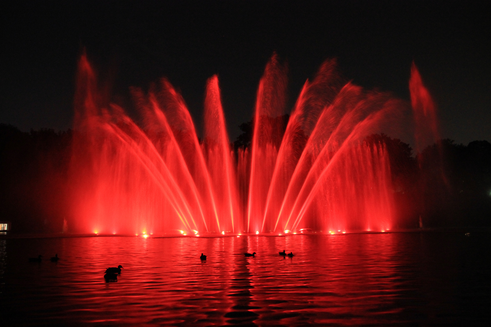 Wasserlichtkonzert Hamburg Planten un Bloomen 2014