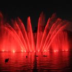 Wasserlichtkonzert Hamburg Planten un Bloomen 2014